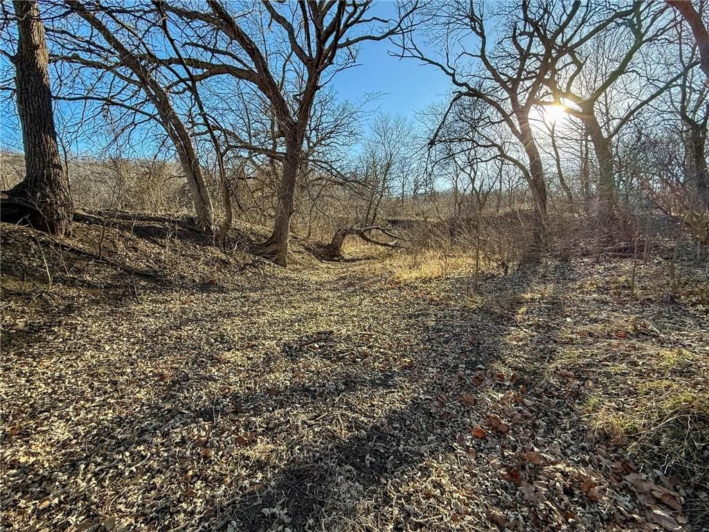 0000 Gilsen Creek Road — photo 87