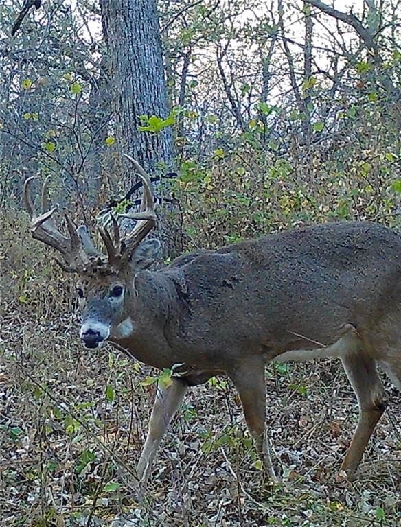 0000 Gilsen Creek Road — photo 94