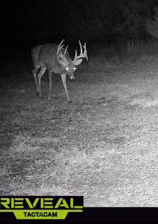 0000 Gilsen Creek Road — photo 97