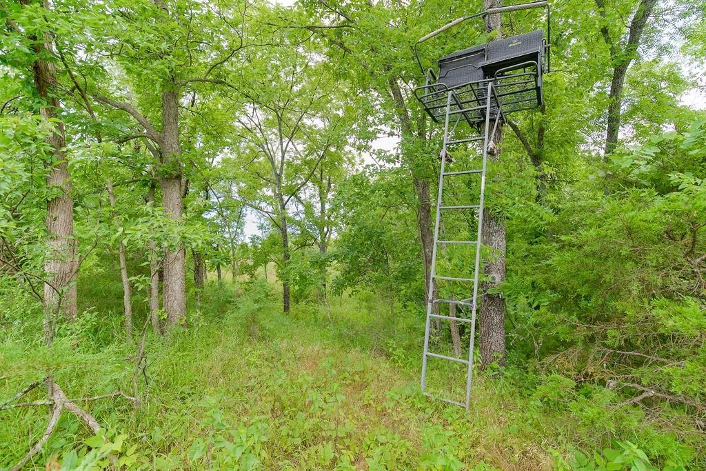 Pleasant Valley-lot2 Road — photo 25