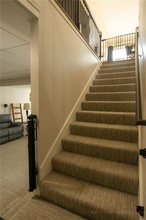 4702 Zebra Lane — photo 30