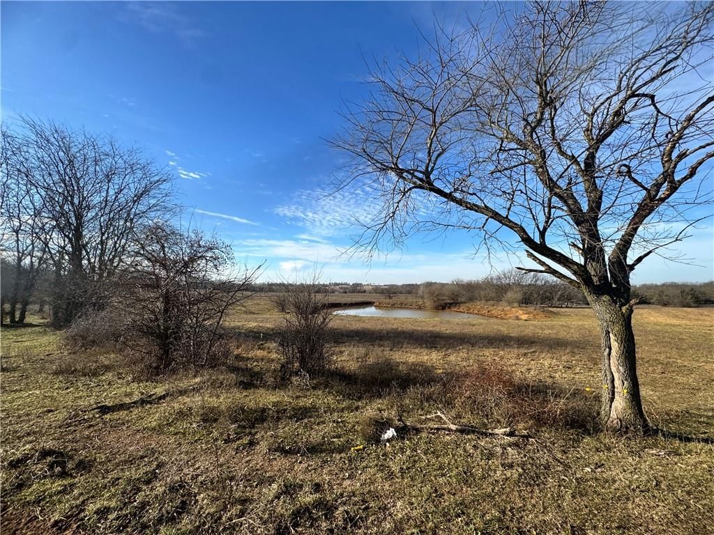 TBD NE County Road 10003 Road — photo 3