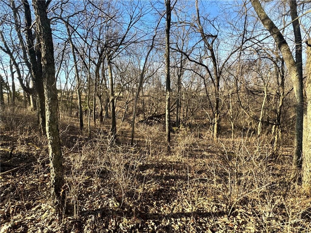 TBD NE County Road 10003 Road — photo 10