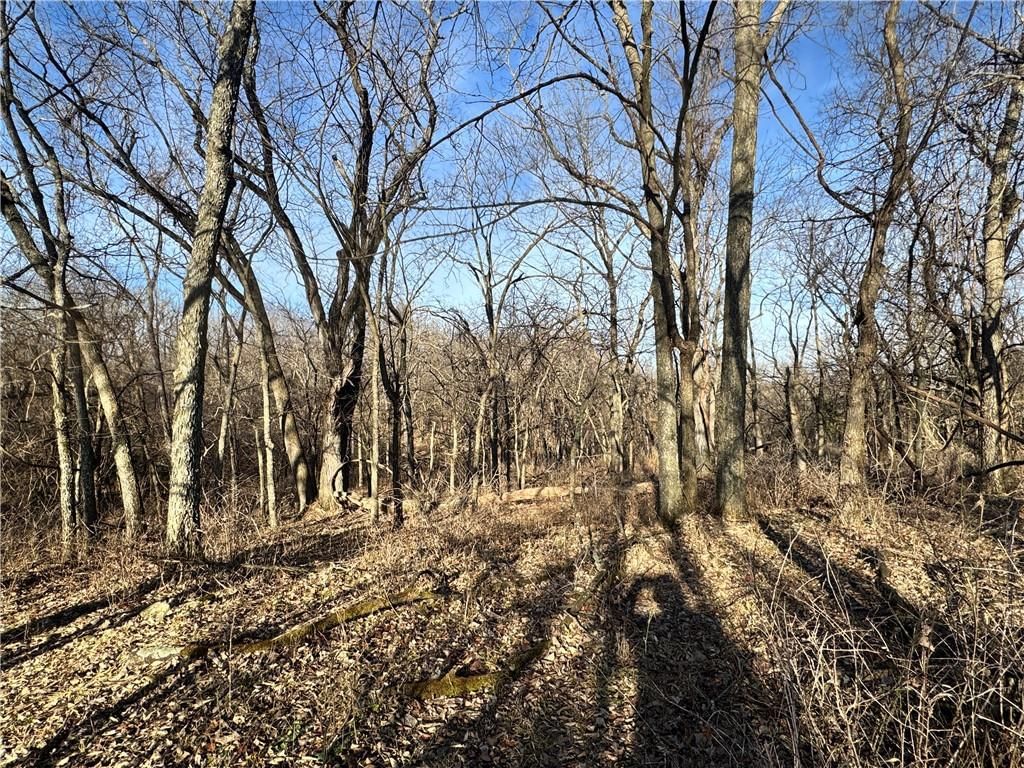 TBD NE County Road 10003 Road — photo 11