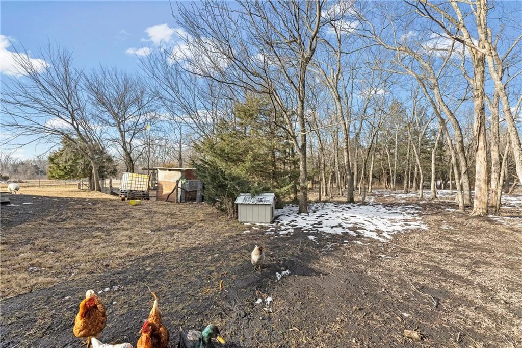 1475 Jackson Road — photo 32