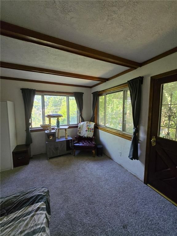 307 White Avenue — photo 14