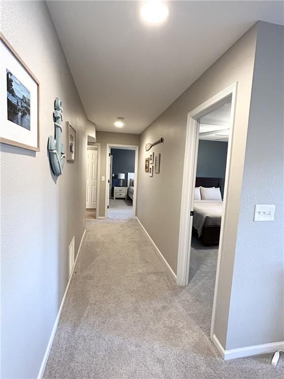 31 Good Oak Drive — photo 46