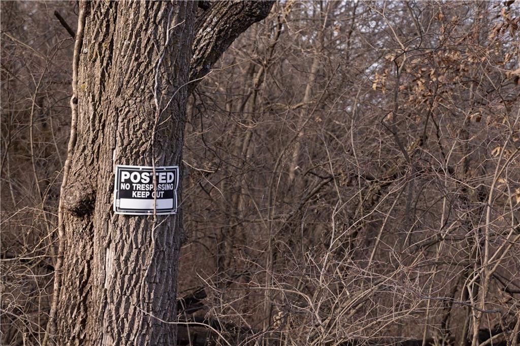 Flint Avenue — photo 42