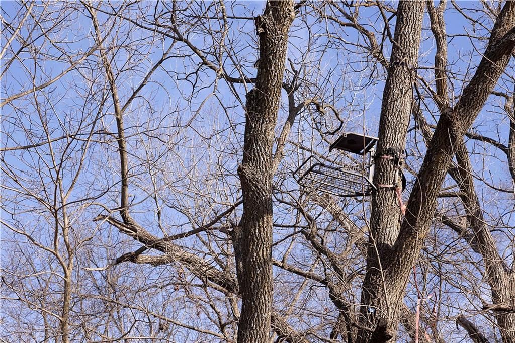 Flint Avenue — photo 45