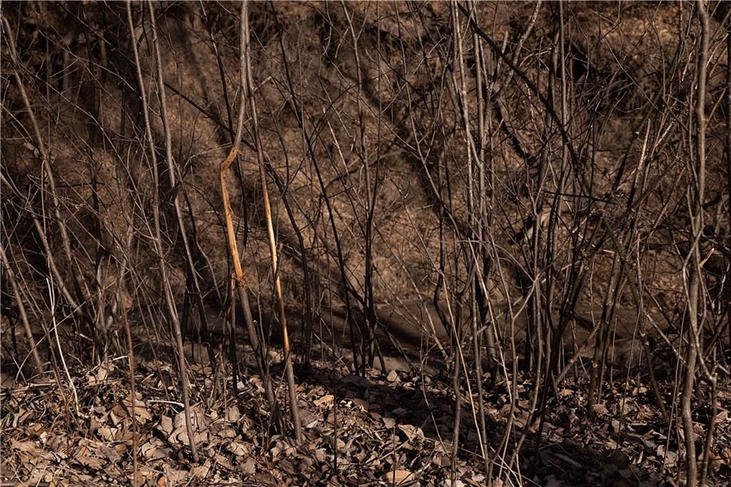 Flint Avenue — photo 46