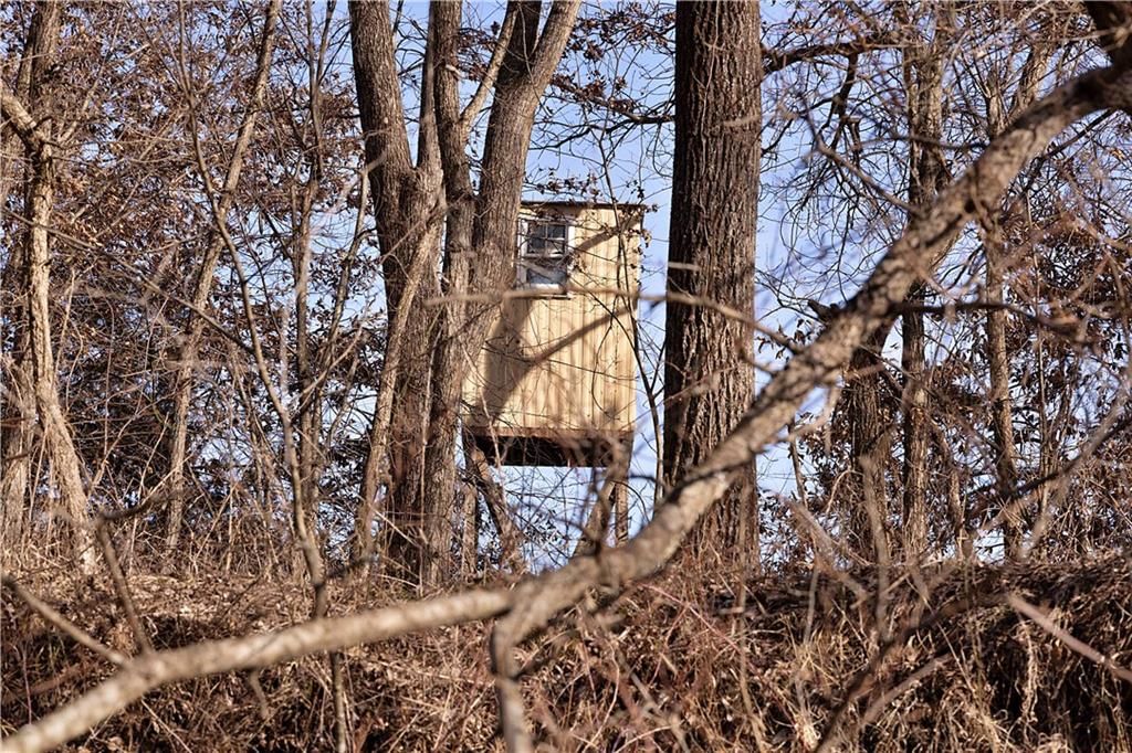 Flint Avenue — photo 51