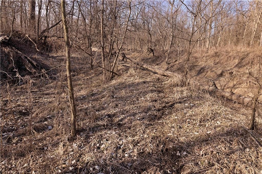 Flint Avenue — photo 52