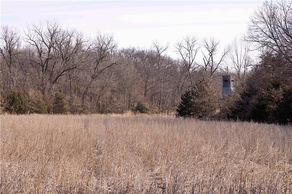 Flint Avenue — photo 54