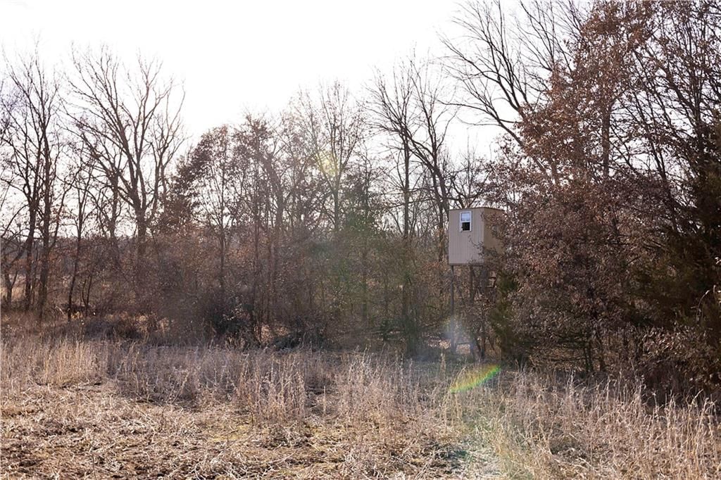 Flint Avenue — photo 55