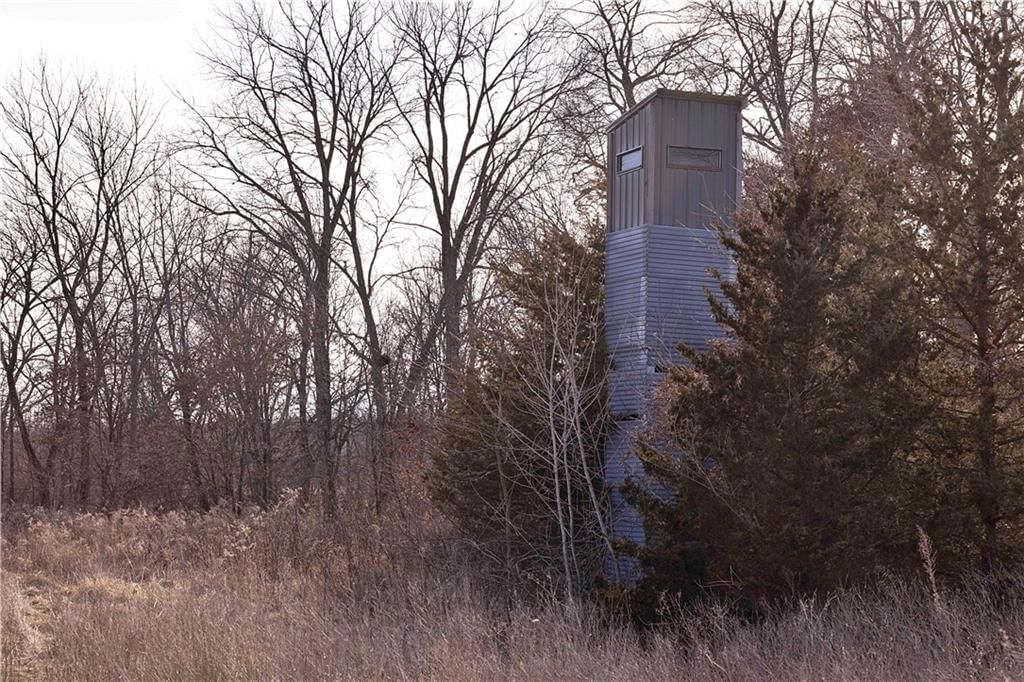 Flint Avenue — photo 60