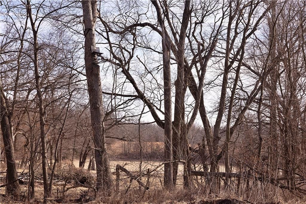 Flint Avenue — photo 64