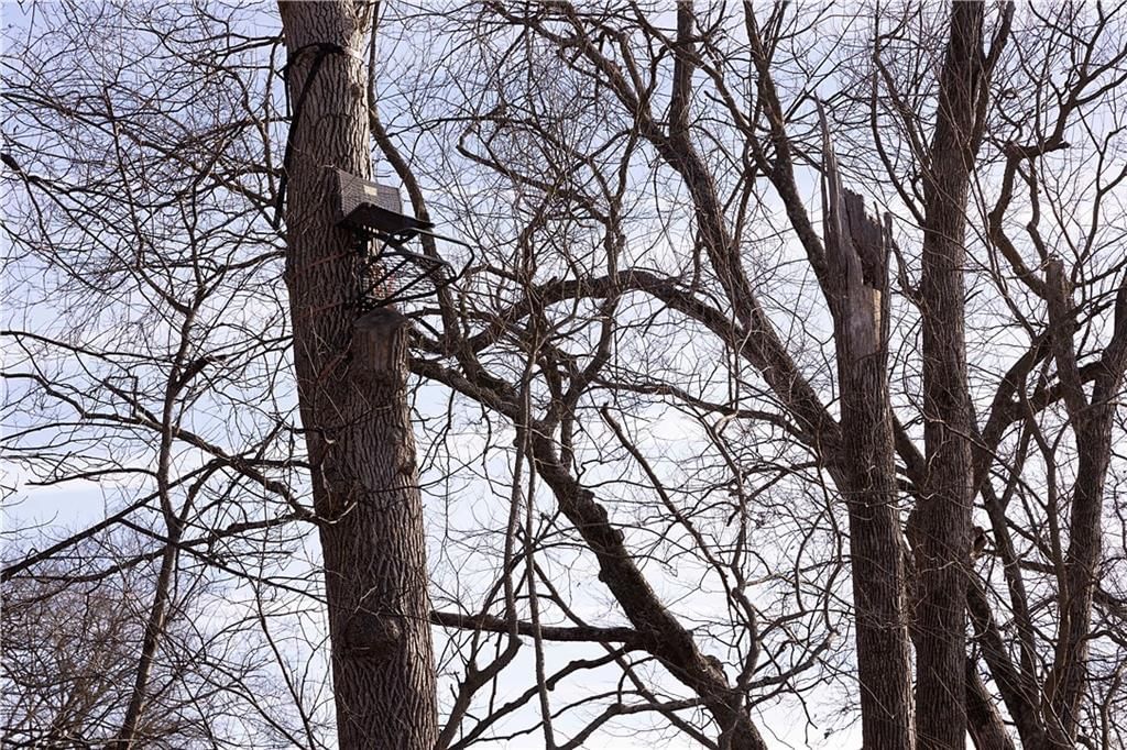 Flint Avenue — photo 65