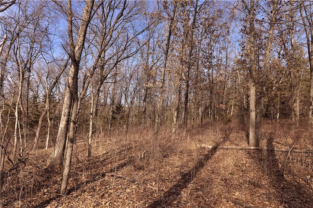 Flint Avenue — photo 67