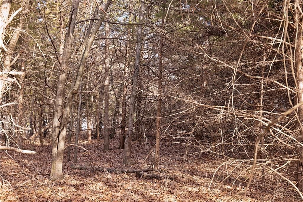 Flint Avenue — photo 68