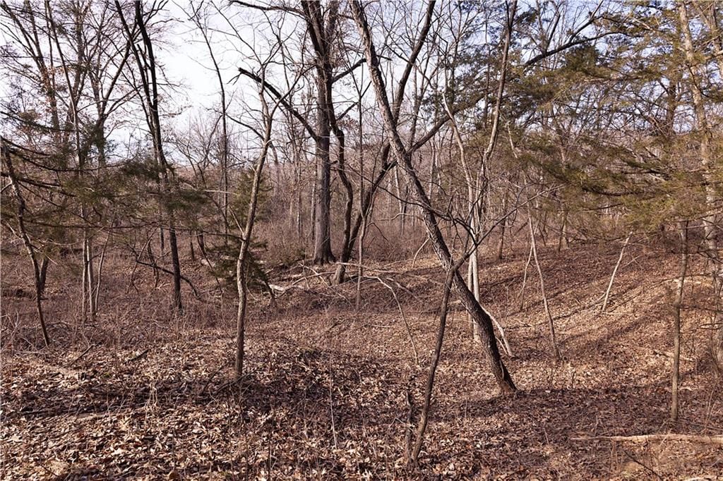 Flint Avenue — photo 70