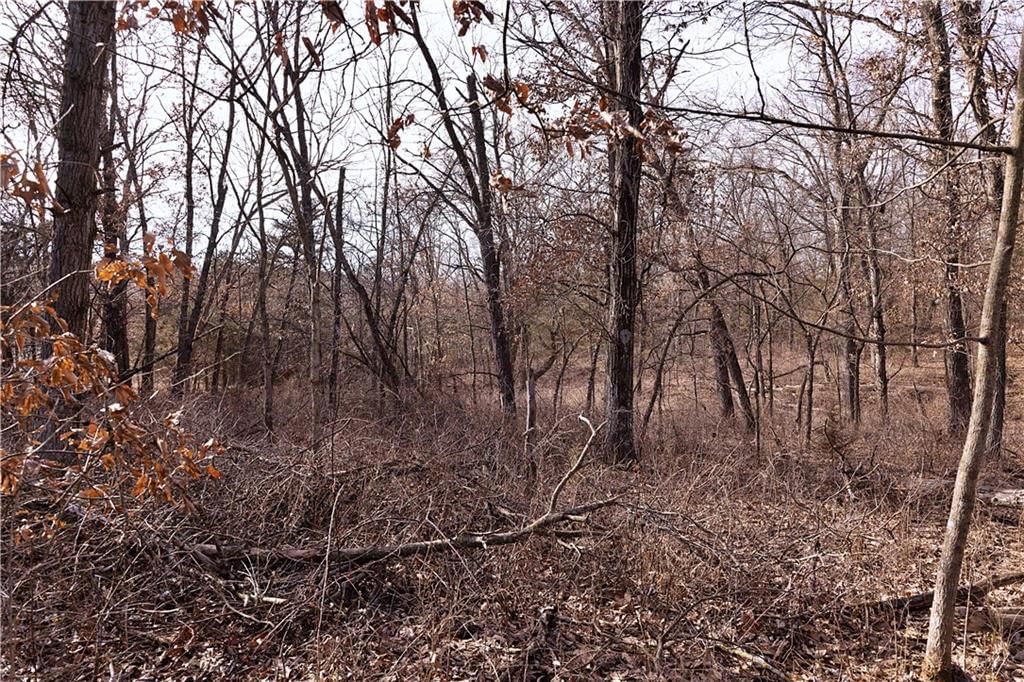 Flint Avenue — photo 71