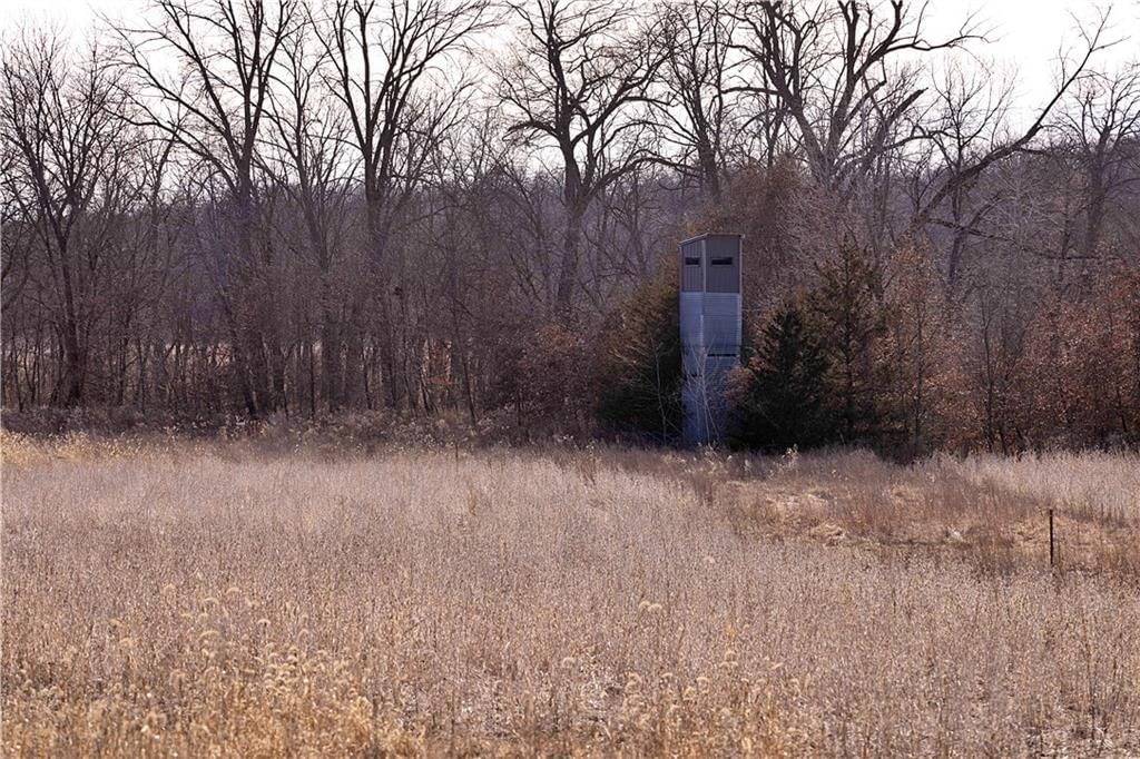 Flint Avenue — photo 72