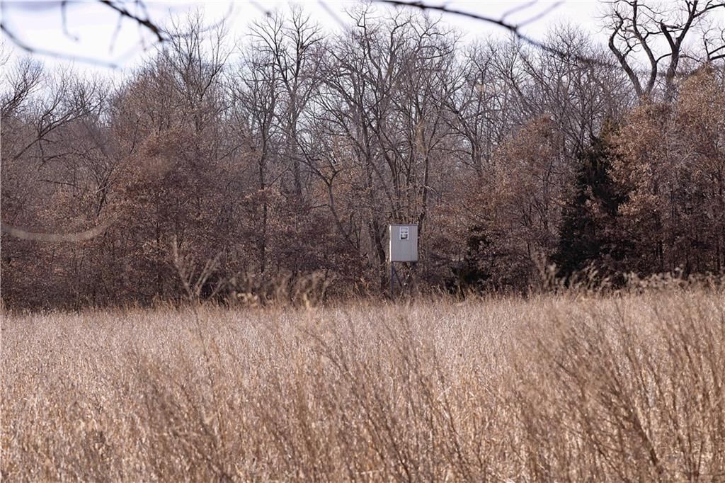 Flint Avenue — photo 74