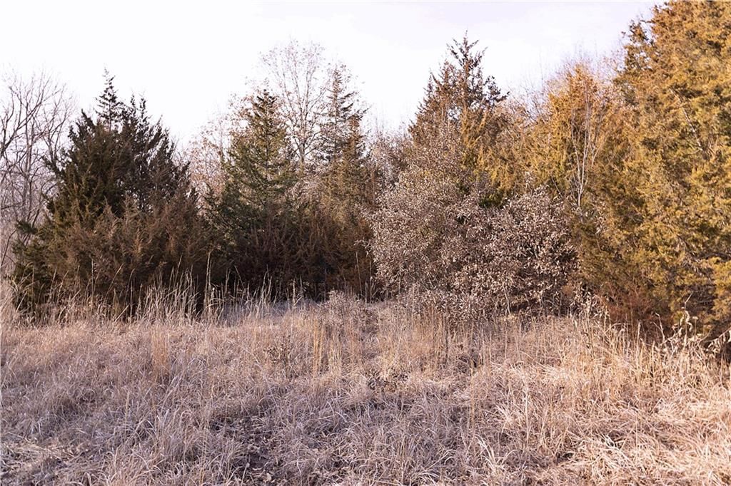 Flint Avenue — photo 75
