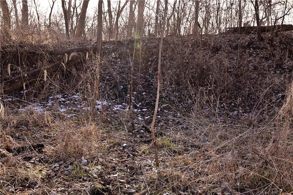 Flint Avenue — photo 78