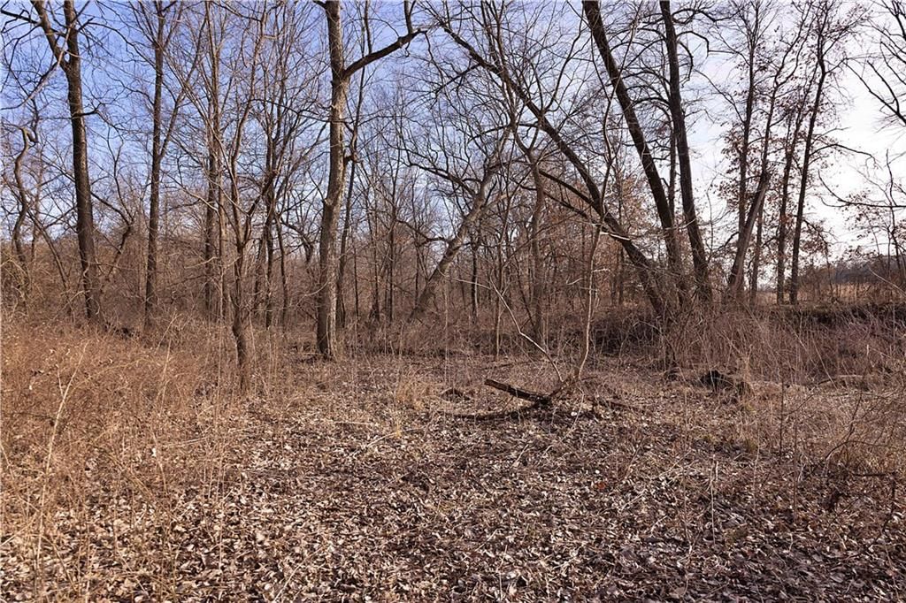 Flint Avenue — photo 80
