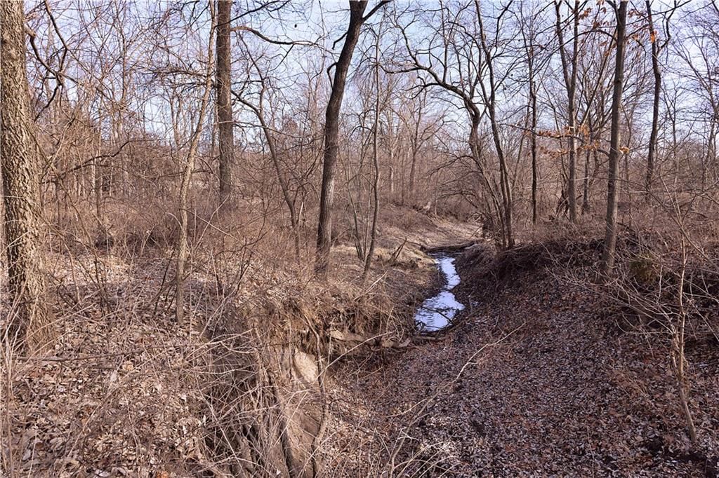 Flint Avenue — photo 81