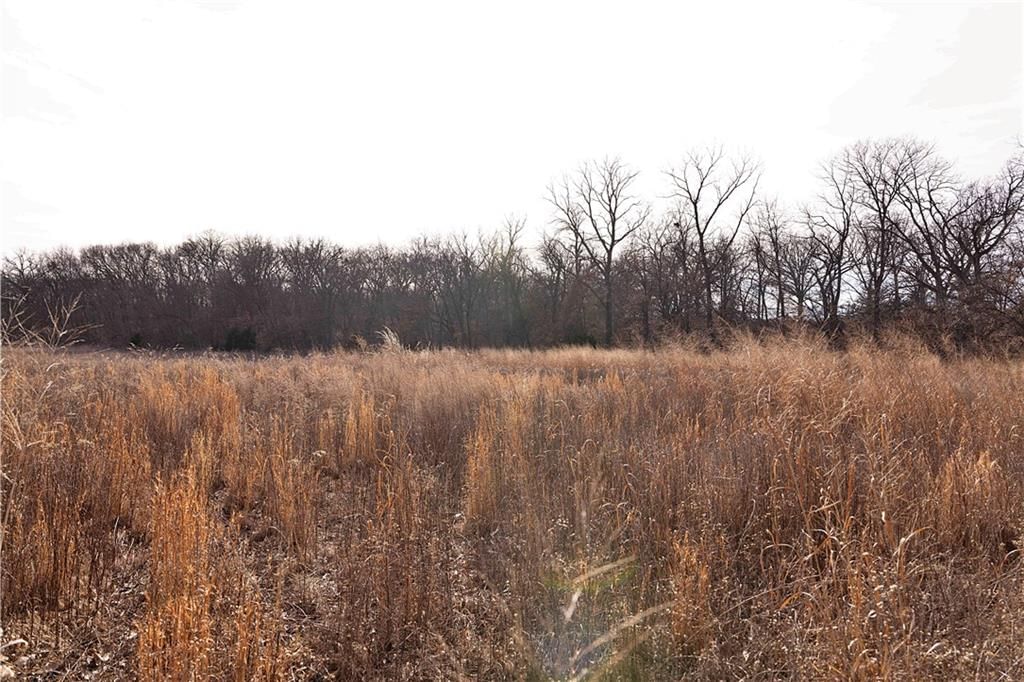 Flint Avenue — photo 82