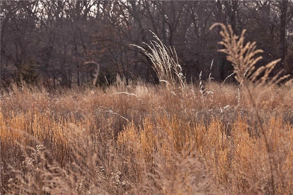 Flint Avenue — photo 84