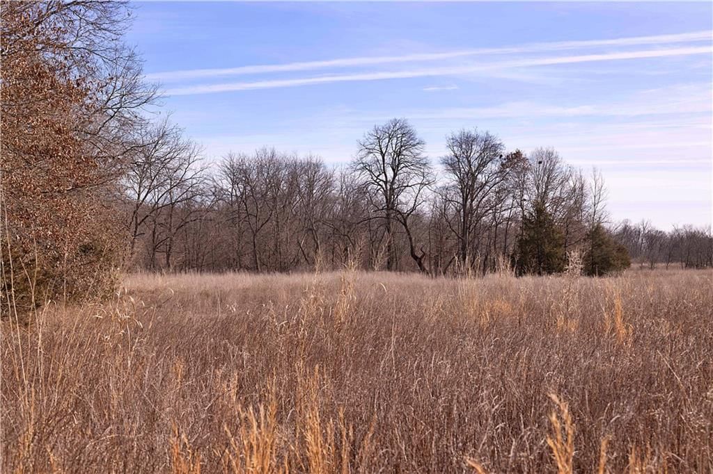 Flint Avenue — photo 85