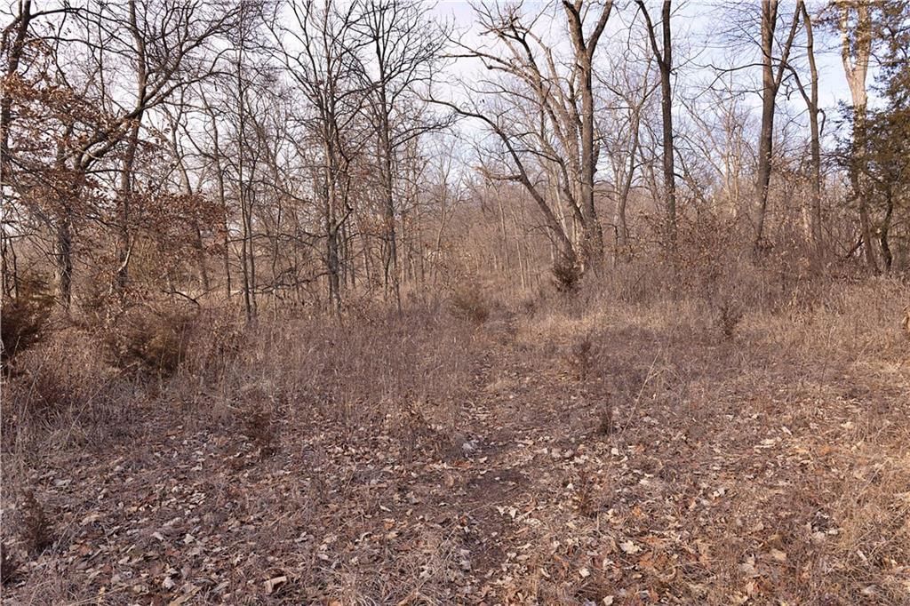 Flint Avenue — photo 86