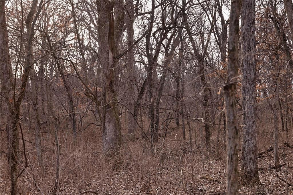 Flint Avenue — photo 87