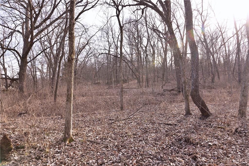 Flint Avenue — photo 88