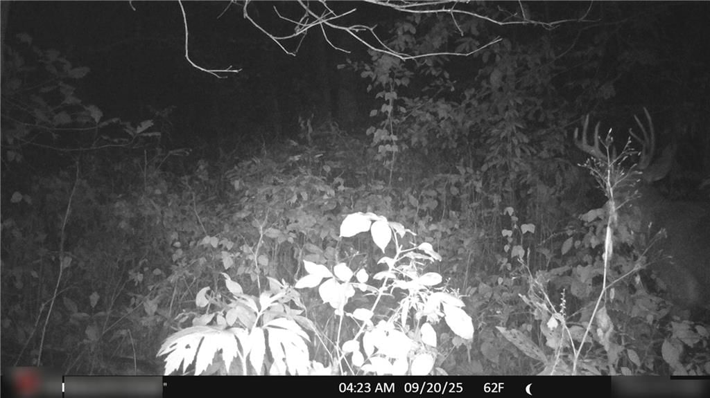 Flint Avenue — photo 90