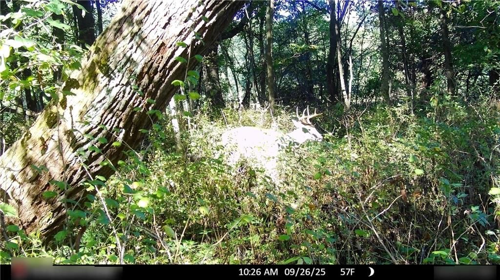 Flint Avenue — photo 93