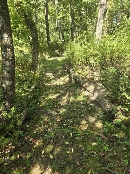 1685 NW 785th Road — photo 48