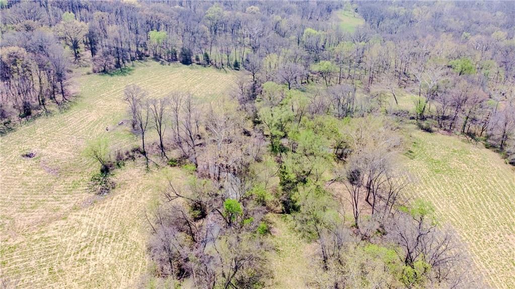 18 acres NW 576 Road — photo 3