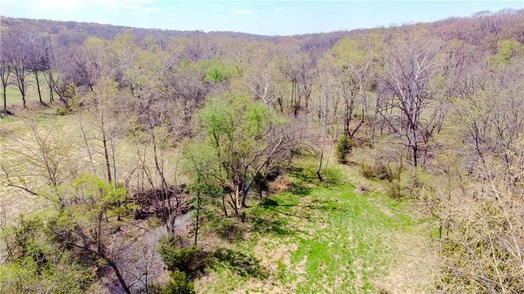 18 acres NW 576 Road — photo 8