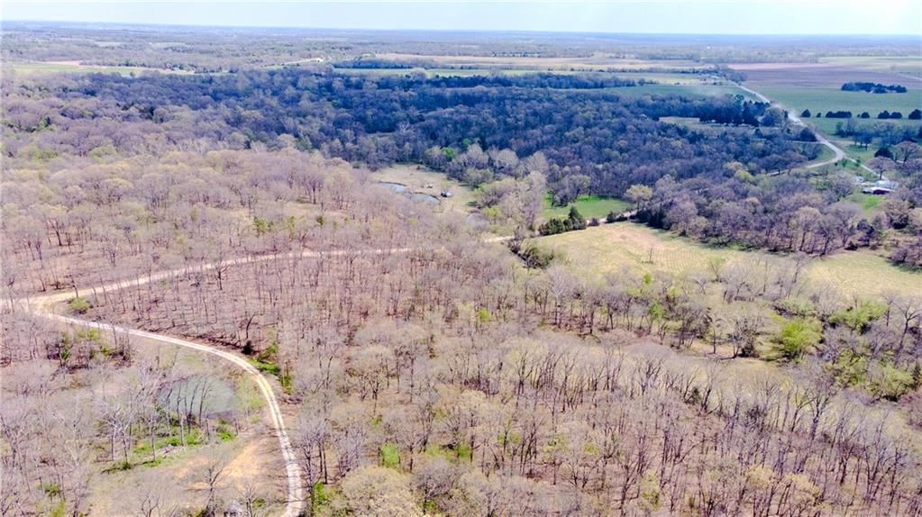 18 acres NW 576 Road — photo 14