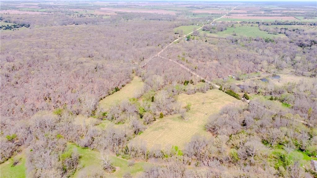 18 acres NW 576 Road — photo 19