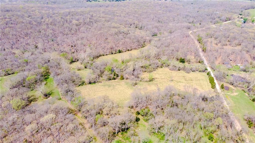 18 acres NW 576 Road — photo 20