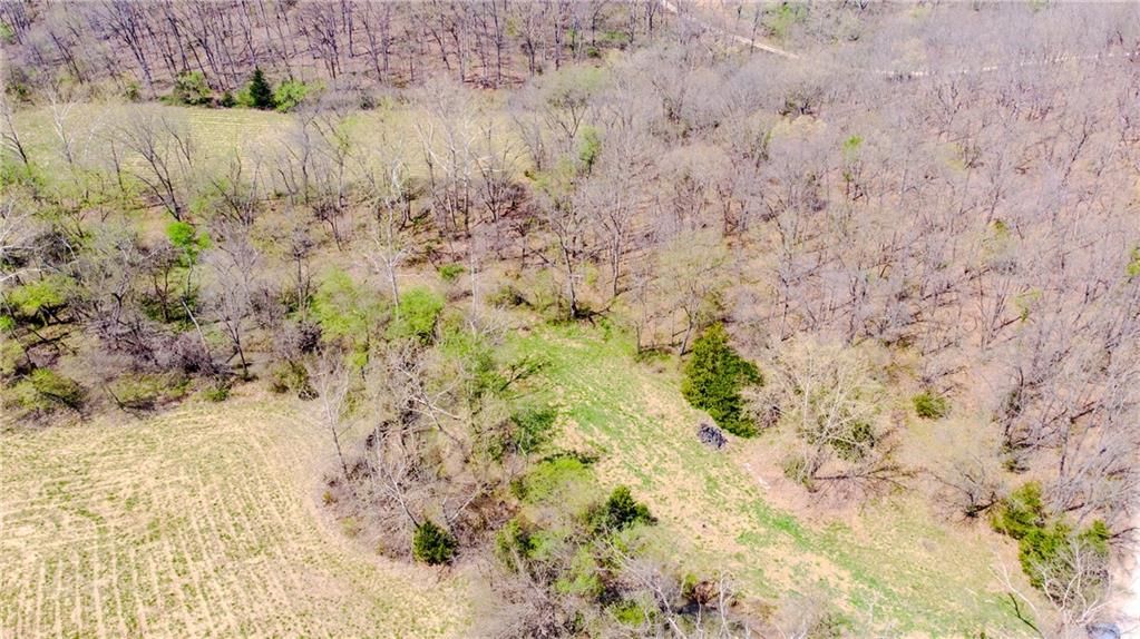 18 acres NW 576 Road — photo 22