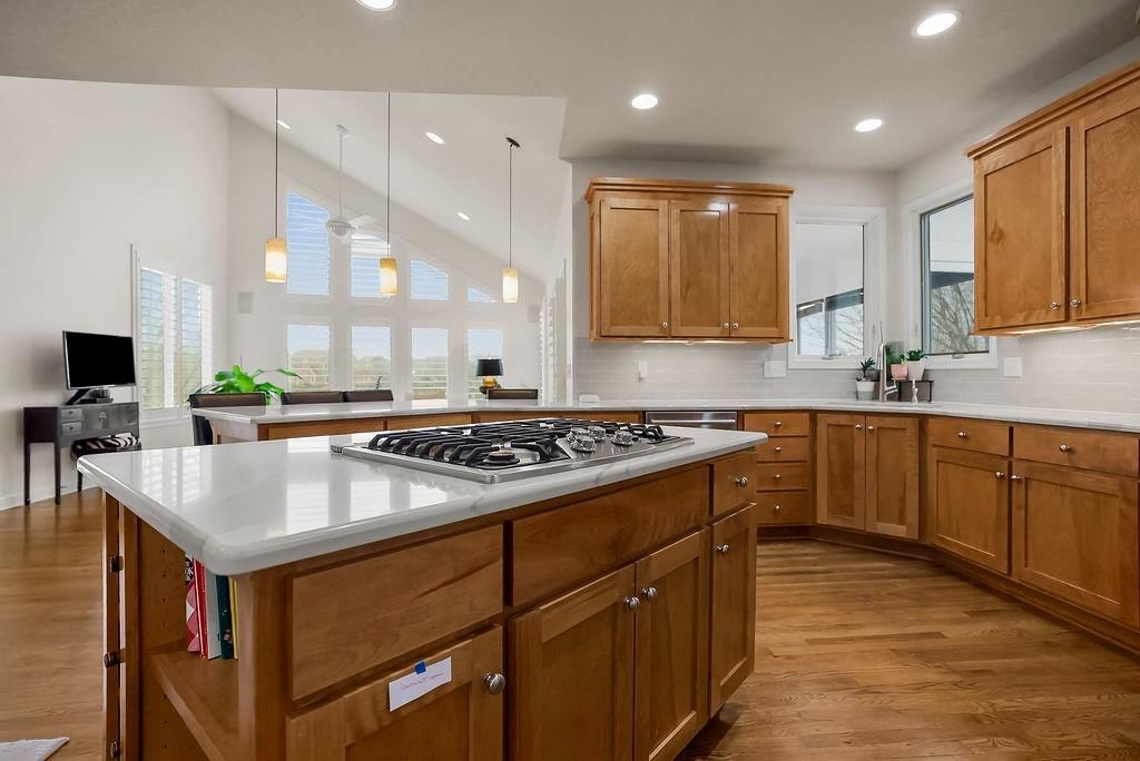 15316 Iron Horse Circle — photo 13