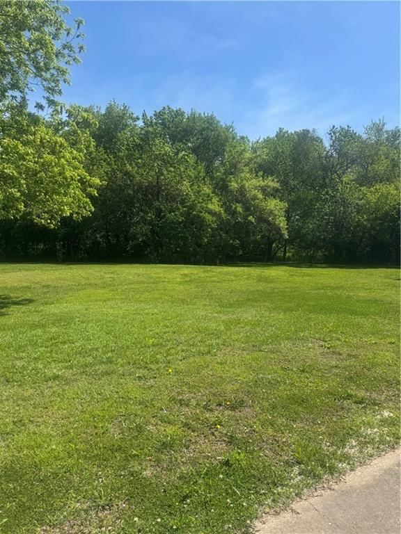 25401 Lone Pine Drive — photo 39