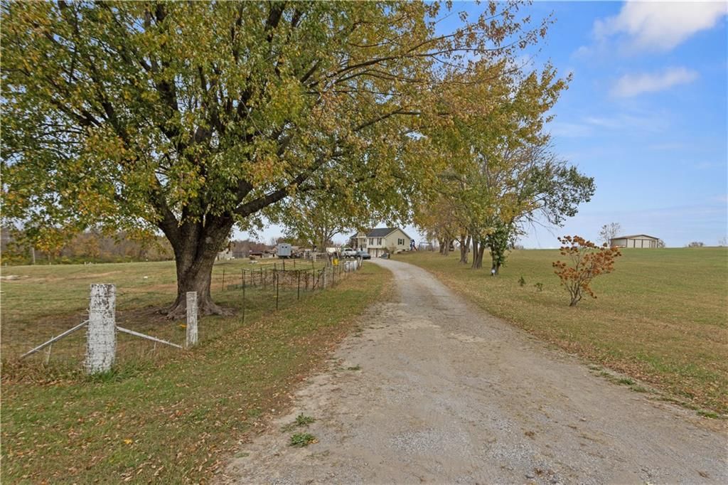 11203 Chandler Road — photo 3