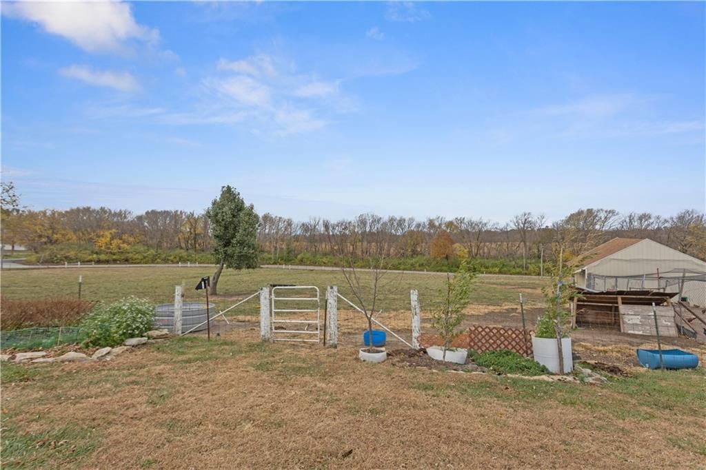 11203 Chandler Road — photo 37